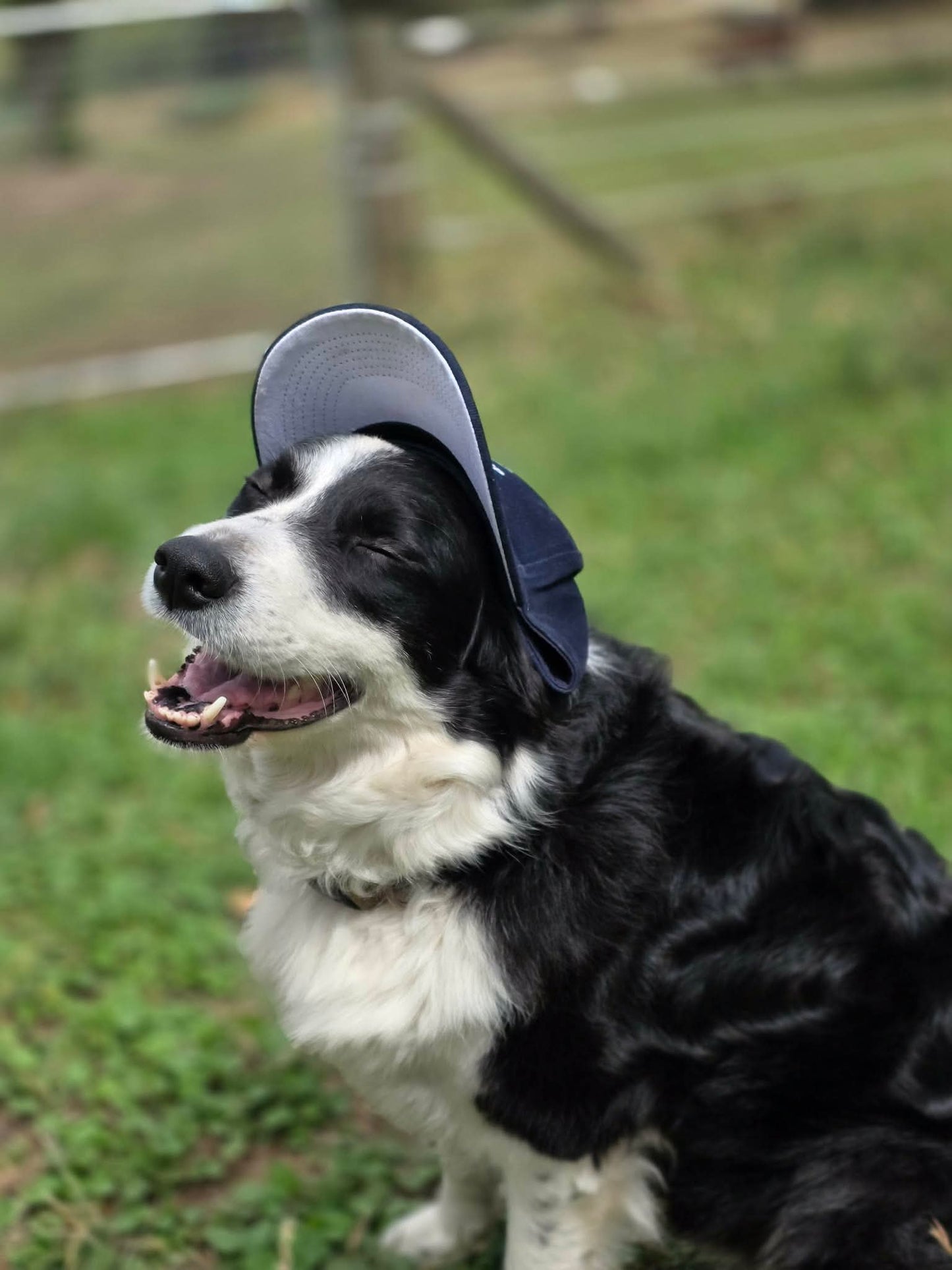 Jin Stirrup Australia - Cap