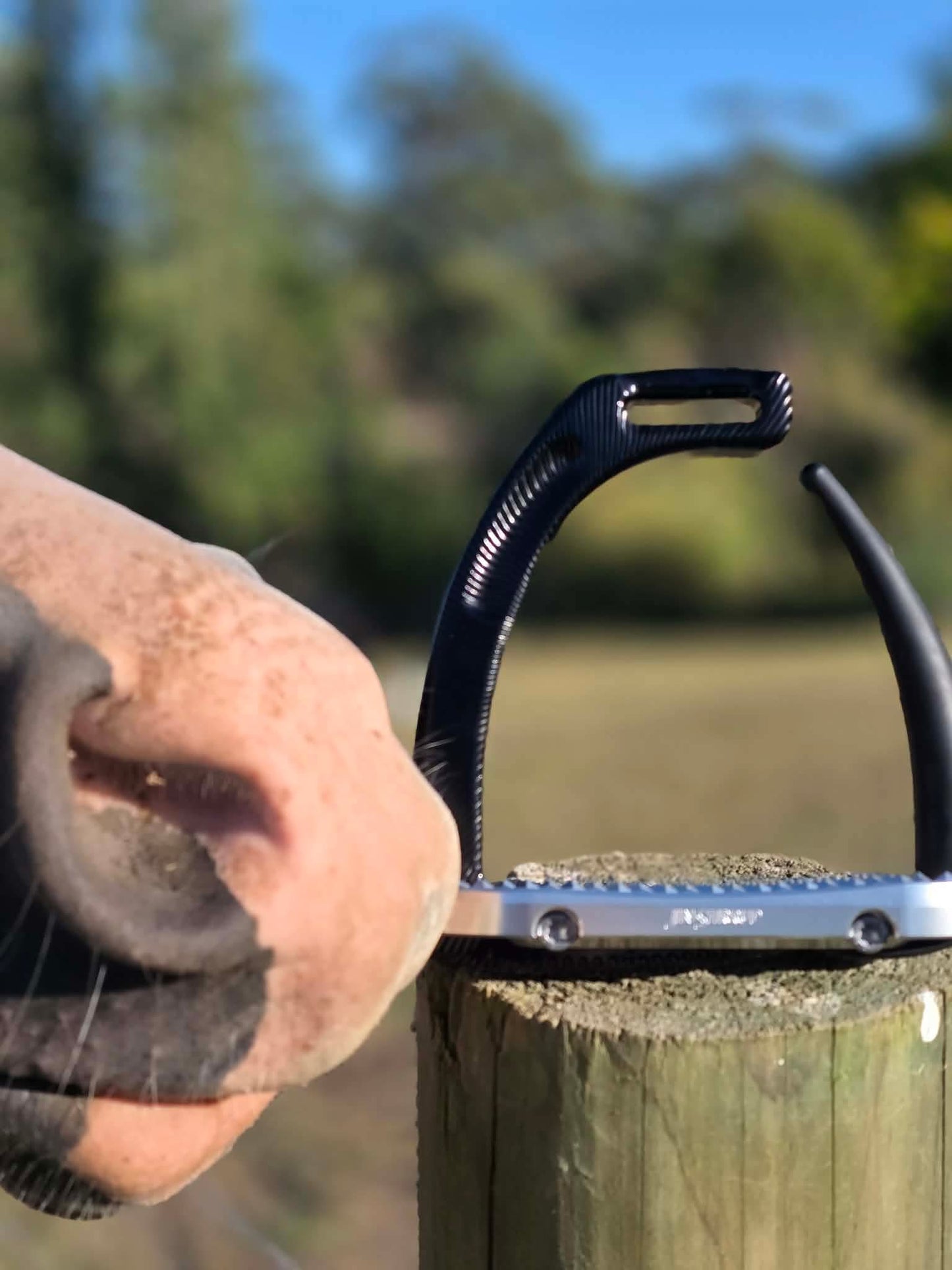 JS AIR - Safety Release Stirrup - Black (DN)
